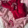 APPLEVELVET_2.jpg Pastel Pink Color Rangoli Silk Saree with Velvet Blouse