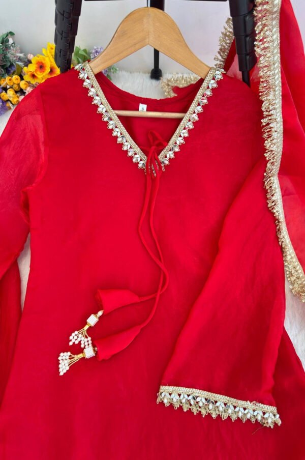 DN-563_7.jpg Red Color Farsi Style Salwar Suit