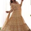IMG_9974.jpg Stunning Multi-Color Heavy Soft Fox Georgette Zigzag Print Anarkali